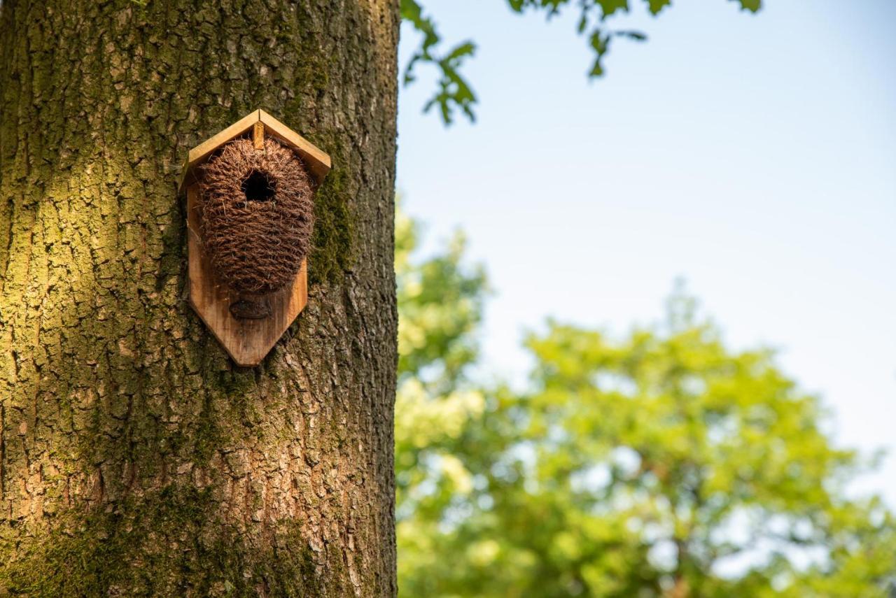 Nature Hideout At Veluwe Nature Park Putten Esterno foto